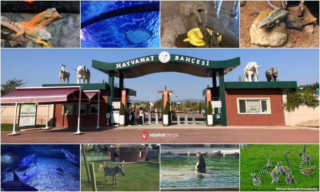 Eskişehir Hayvanat Bahçesi ve Sualtı Dünyası