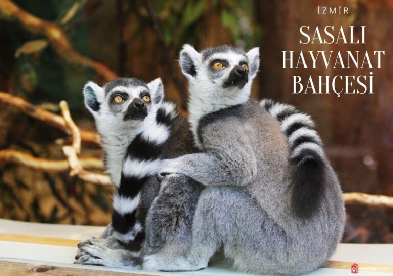 Sasalı Hayvanat Bahçesi