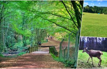 Polonezköy Tabiat Parkı