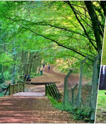 Polonezköy Tabiat Parkı Giriş Ücreti 2025 (Piknik, Kahvaltı, Kamp ve Yol Tarifi) Polonezköy Tabiat Parkı