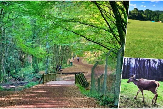 Polonezköy Tabiat Parkı Giriş Ücreti 2025 (Piknik, Kahvaltı, Kamp ve Yol Tarifi) Polonezköy Tabiat Parkı