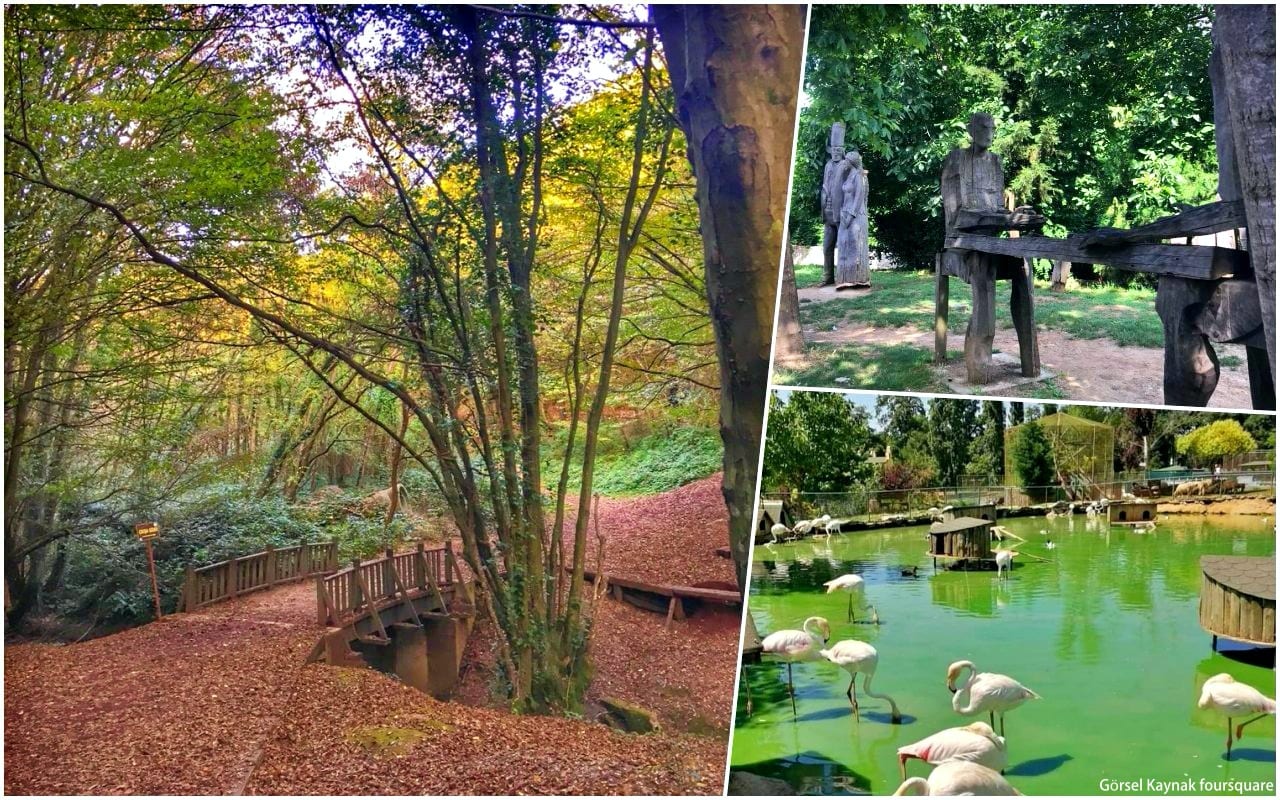 Polonezköy Tabiat Parkında Neler Var