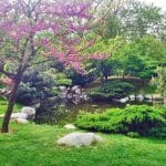 Japon Bahçesi İstanbul