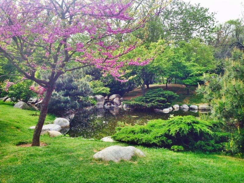 Japon Bahçesi İstanbul