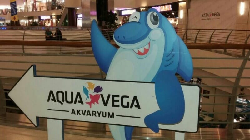 Aqua Vega Aqua Vega Akvaryum ResimleriAkvaryum