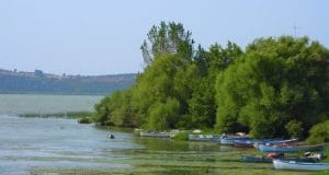 Uluabat gölü