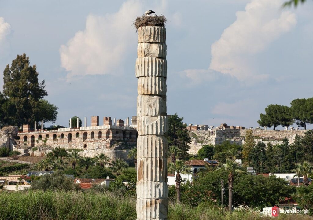 Artemis Tapınağı Selçuk