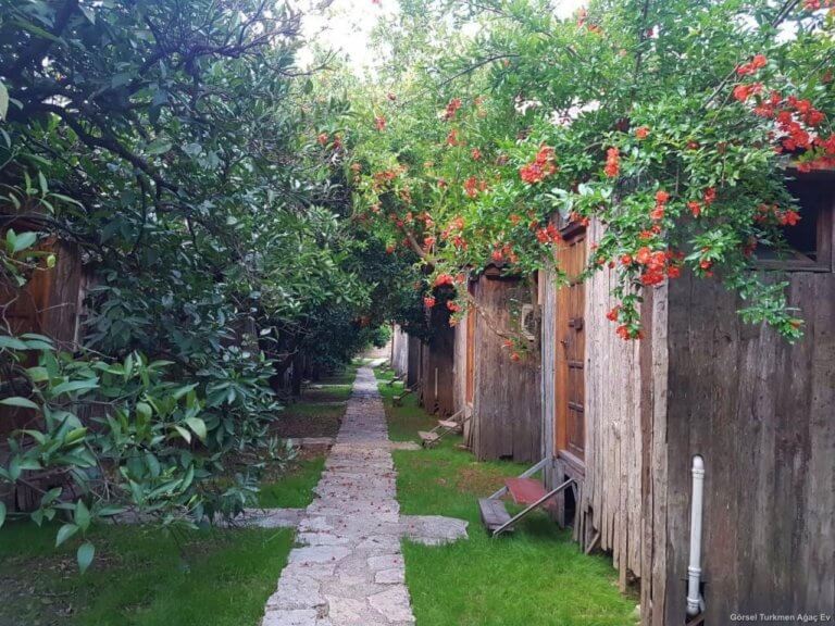 Olimpos (Olympos) Antalya Tüm Detaylarıyla Gezi Rehberi