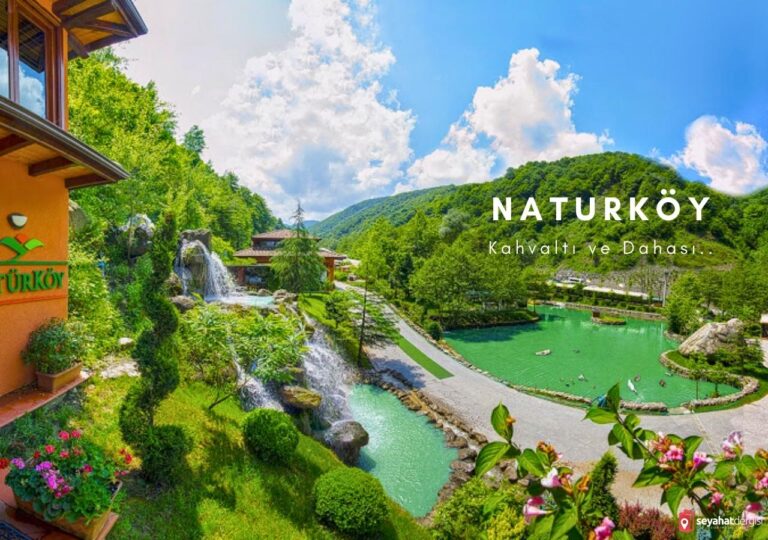 Natürköy Sapanca