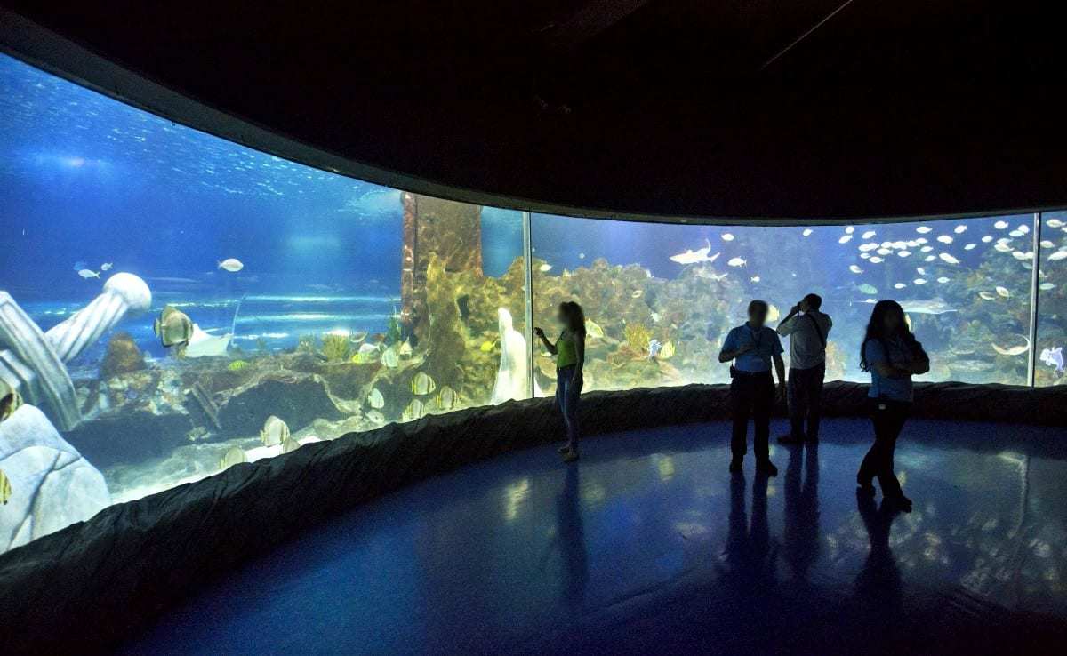 Bayrampaşa Sea Life Akvaryum Okyanus Odası
