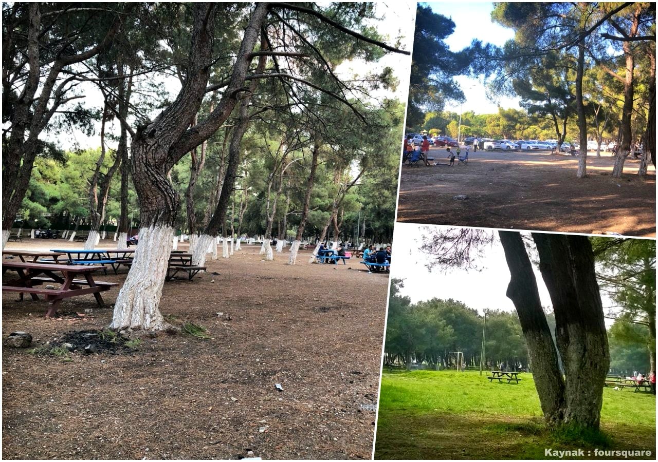 Sarnıç Piknik Alanı İzmir