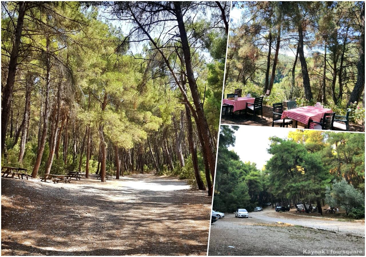 İzmir Çiçekliköy Piknik Alanı
