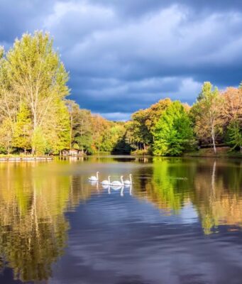 Atatürk Arboretumu