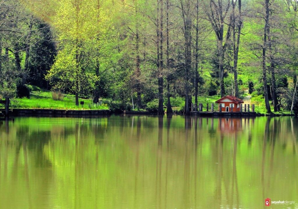 Atatürk Arboretumu Fotoğrafları