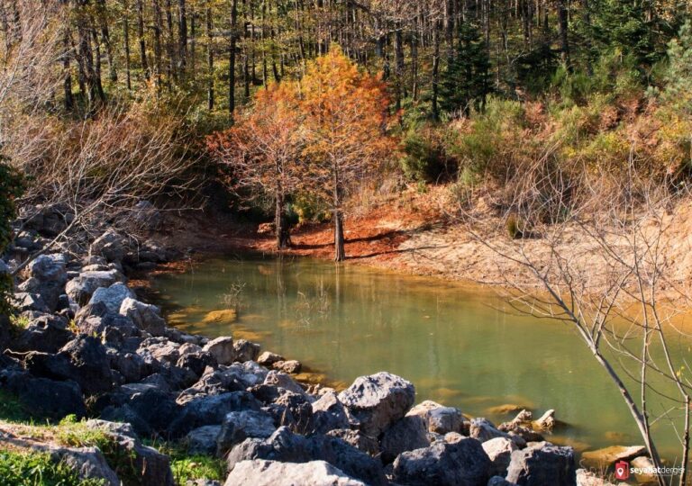 Atatürk Arboretumu