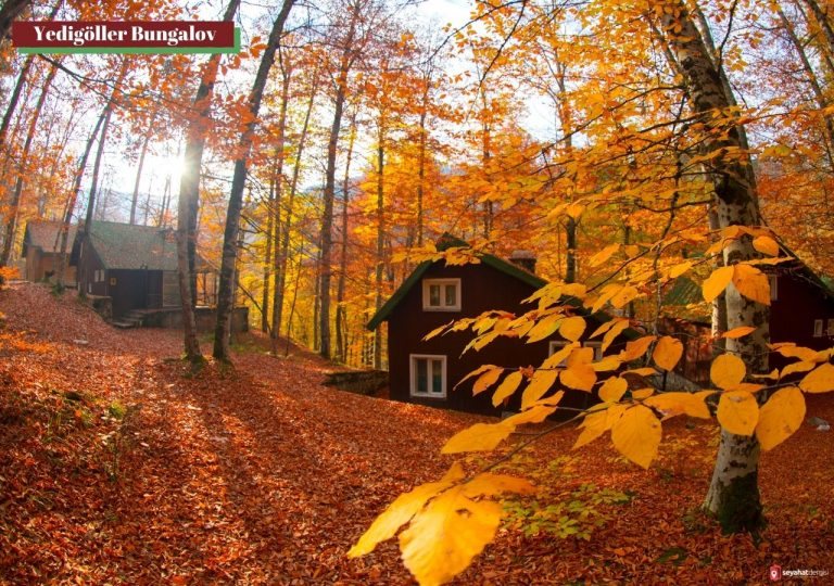 Yedigöller Bungalov Evleri