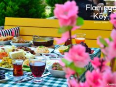 Flamingo Köy