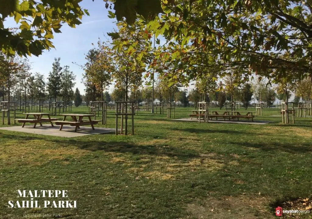 Maltepe Sahil Park Piknik