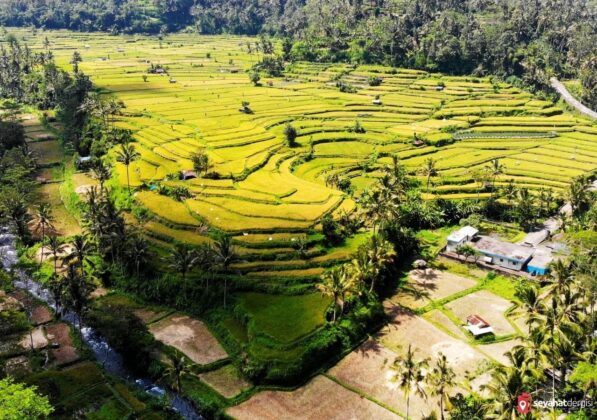 Wie Lange Fliegt Man Nach Bali Von Frankfurt seyahatdergisi.com
