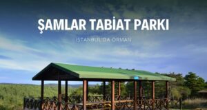 Şamlar Tabiat Parkı