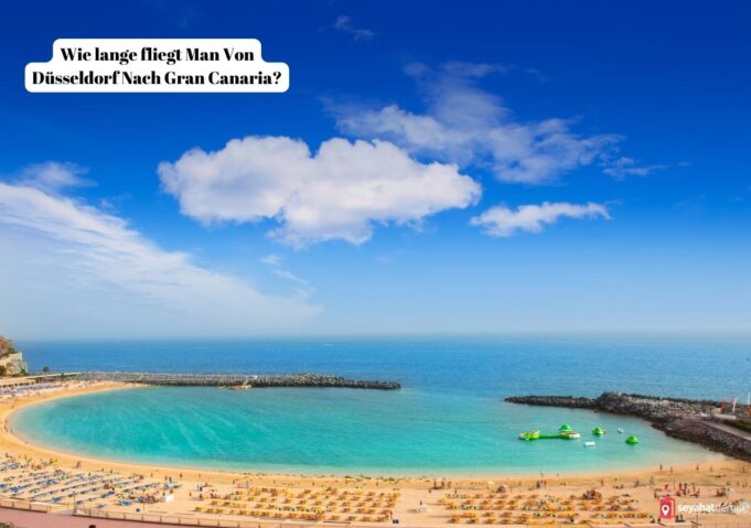 Flugzeit Von Düsseldorf Nach Gran Canaria seyahatdergisi.com