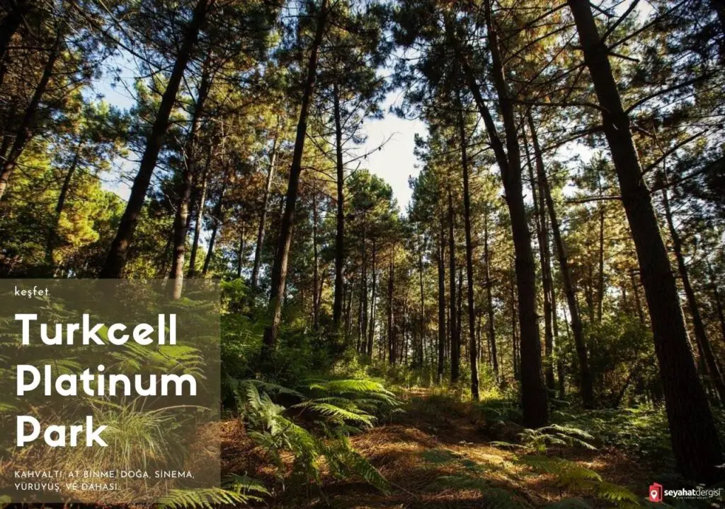 Turkcell Platinum Park | Kahvaltı Ve Gezi Rehberi 2024