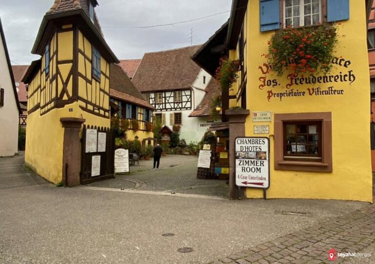 Alsace Şarap Yolu