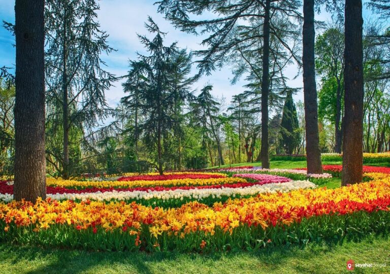 Emirgan Korusu