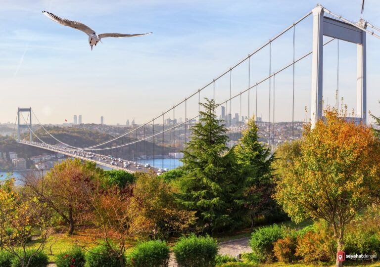 Otağtepe Fatih Korusu Köprü Manzarası