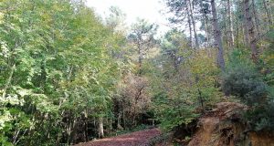 Polonezköy Tabiat Parkı