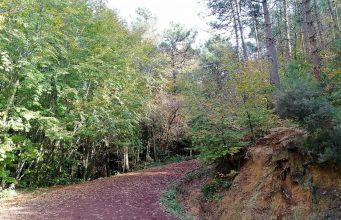 Polonezköy Tabiat Parkı Giriş Ücreti 2026 (Piknik, Kahvaltı, Kamp ve Yol Tarifi) Polonezköy Tabiat Parkı
