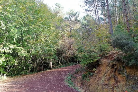 Polonezköy Tabiat Parkı