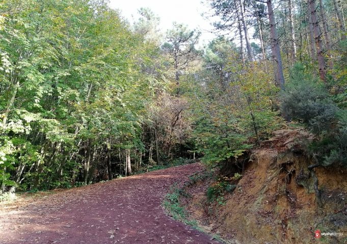 Polonezköy Tabiat Parkı