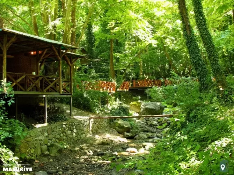 Maşukiye