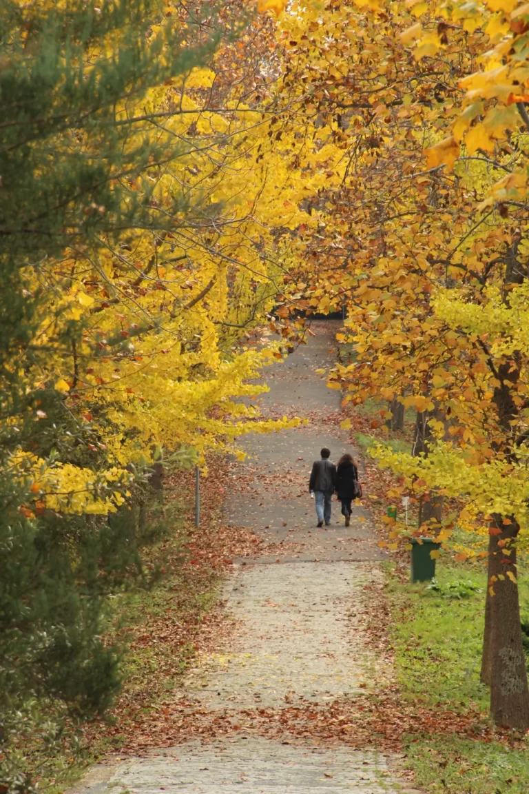 Atatürk Arboretumu