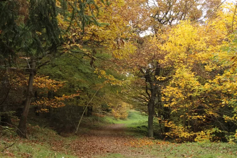 Atatürk Arboretumu