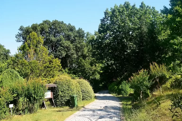 Atatürk Arboretumu