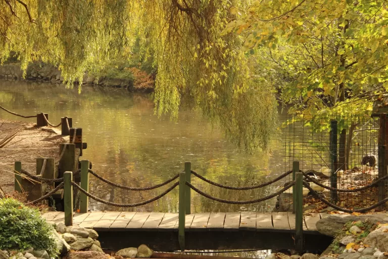 Atatürk Arboretumu