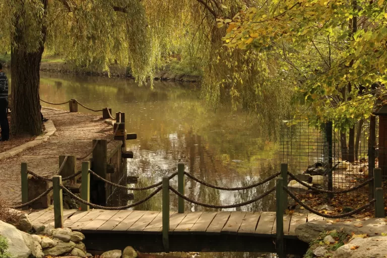 Atatürk Arboretumu