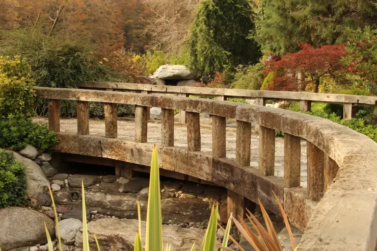 Atatürk Arboretumu