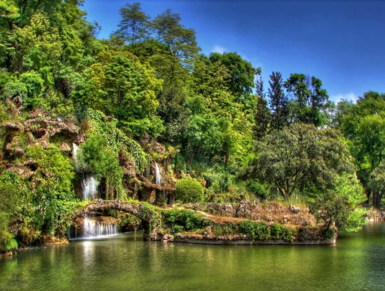 Emirgan Korusu
