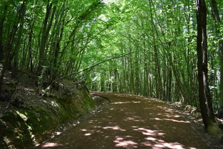 Polonezköy Tabiat Parkı