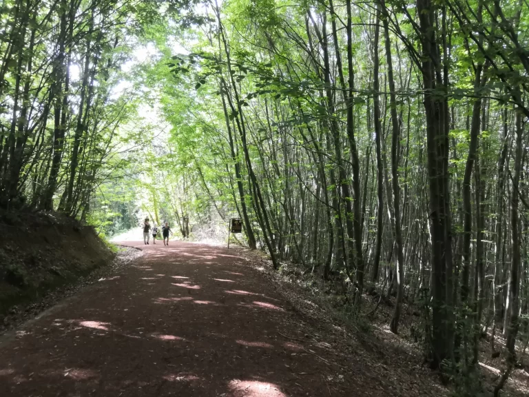 Polonezköy Tabiat Parkı