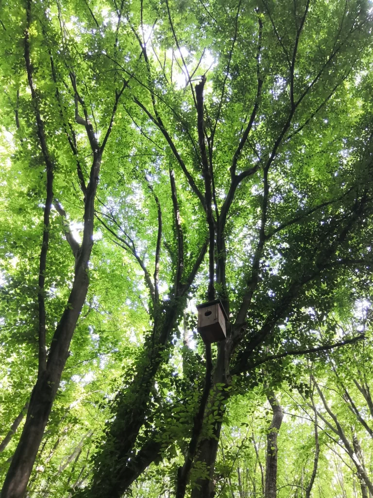 Polonezköy Tabiat Parkı