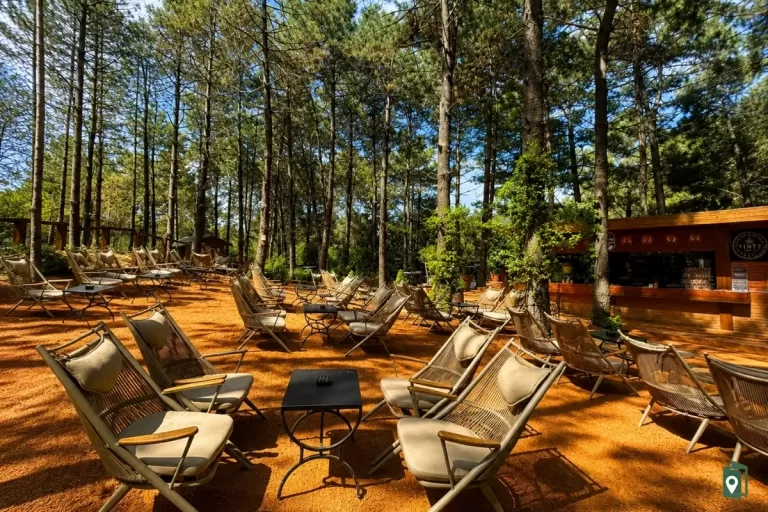 Turkcell Platinum Park
