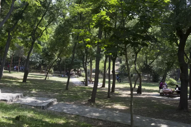 Yıldız Parkı Korusu