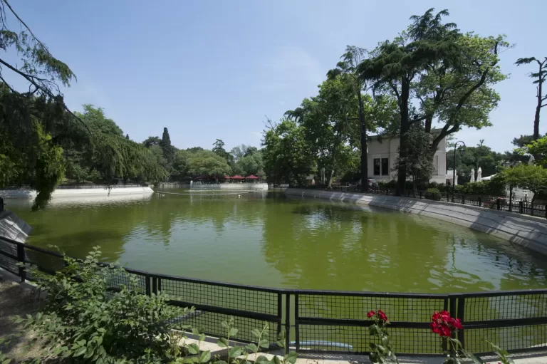 Yıldız Parkı Korusu