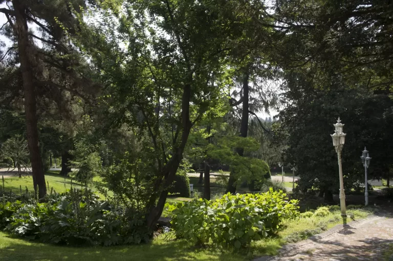 Yıldız Parkı Korusu