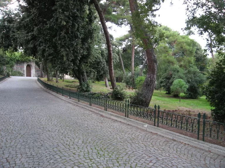 Yıldız Parkı Korusu