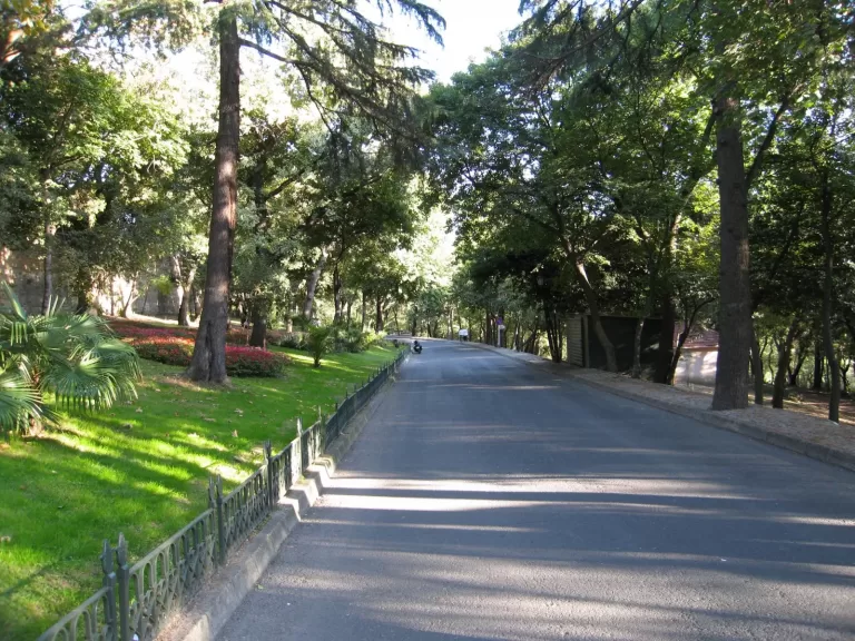 Yıldız Parkı Korusu